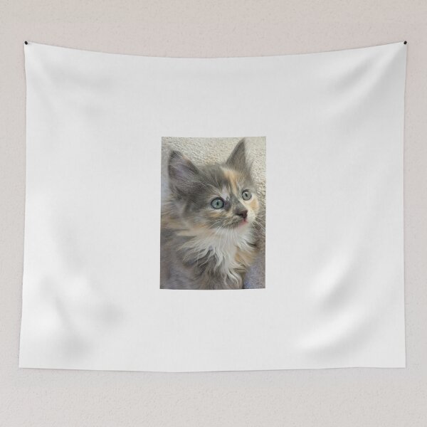 Item preview, Fluffy kitten designed and sold by Fluffycat2020.