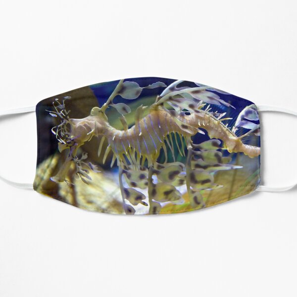 Leafy Sea Dragon Flat Mask