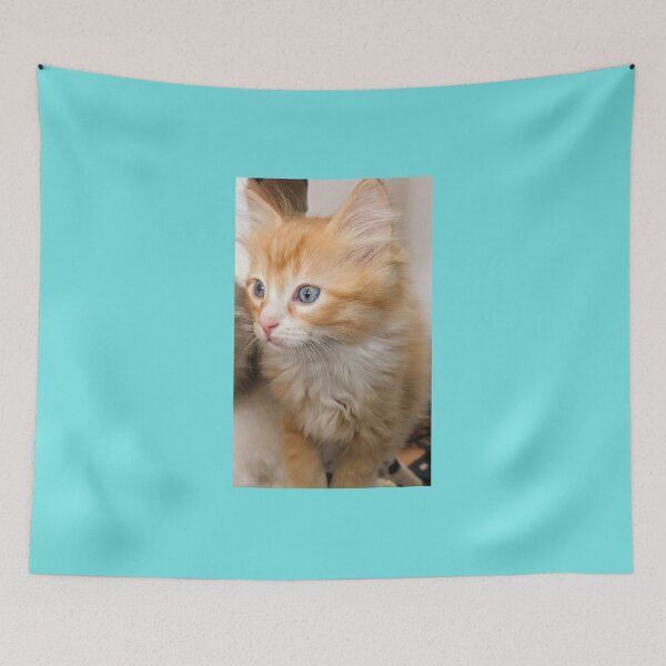 Item preview, Fluffy kitten designed and sold by Fluffycat2020.