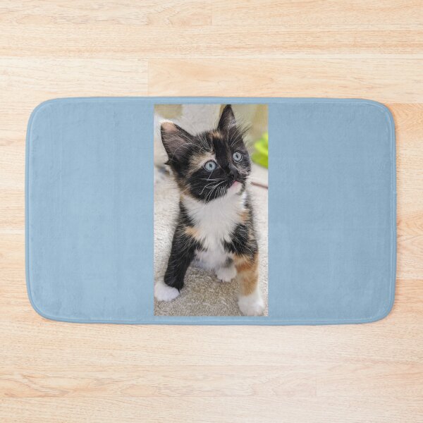 Item preview, Fluffy kitten designed and sold by Fluffycat2020.