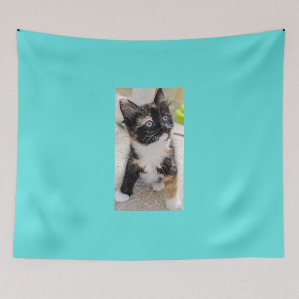 Item preview, Fluffy kitten designed and sold by Fluffycat2020.
