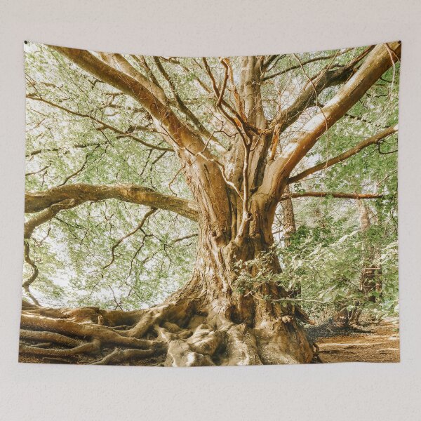 Item preview, Majestic Old Tree  designed and sold by coolmerchplanet.