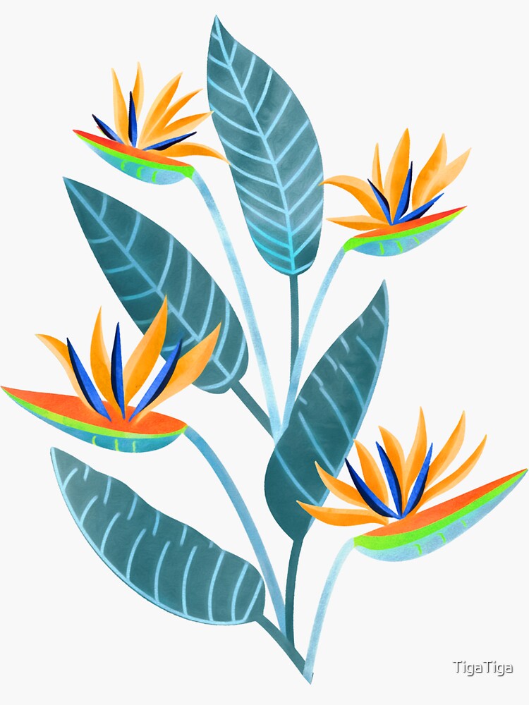 Strelitzia Flowers - White by TigaTiga