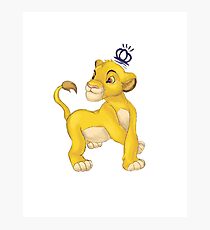 King of the Jungle Photographic Print