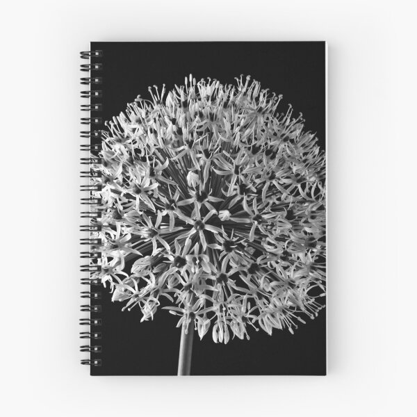 Item preview, White Allium designed and sold by Sandra Foster.