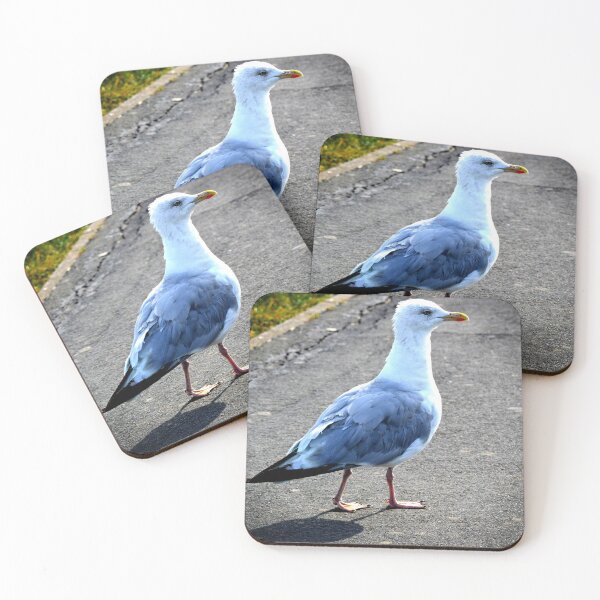 Item preview, A seagull in Hastings designed and sold by PhotoCDesign.