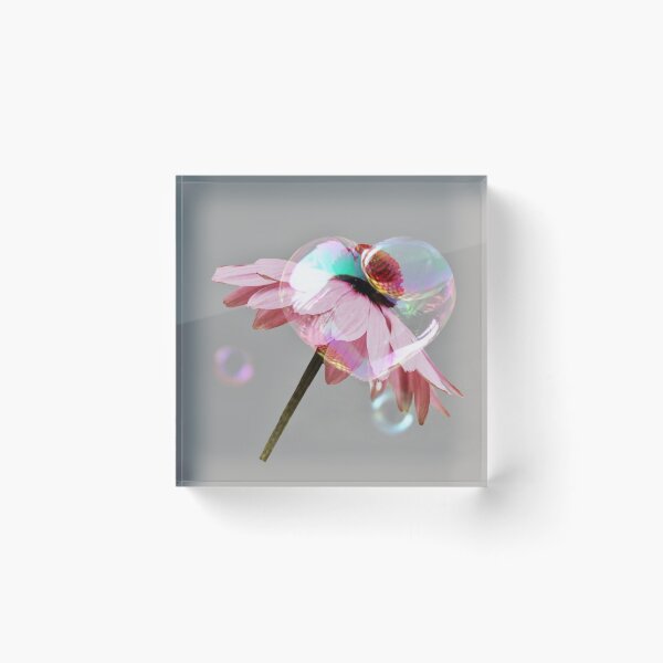 Item preview, Daisy love heart  designed and sold by BerylBez.