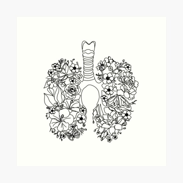Human Heart Lungs Drawing Medical Journal Black and White - Etsy