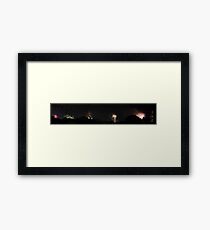 NYE Fireworks 5/5 Framed Print