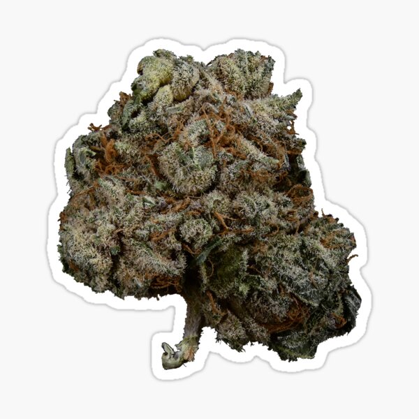 Big Bang (Sticker/Magnet) Sticker