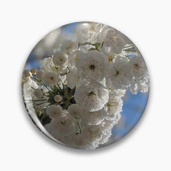 Item preview, White blossom  designed and sold by lauragatesphoto.