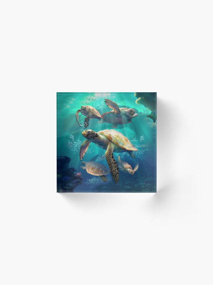 Alternate view of Sea Turtles Acrylic Block