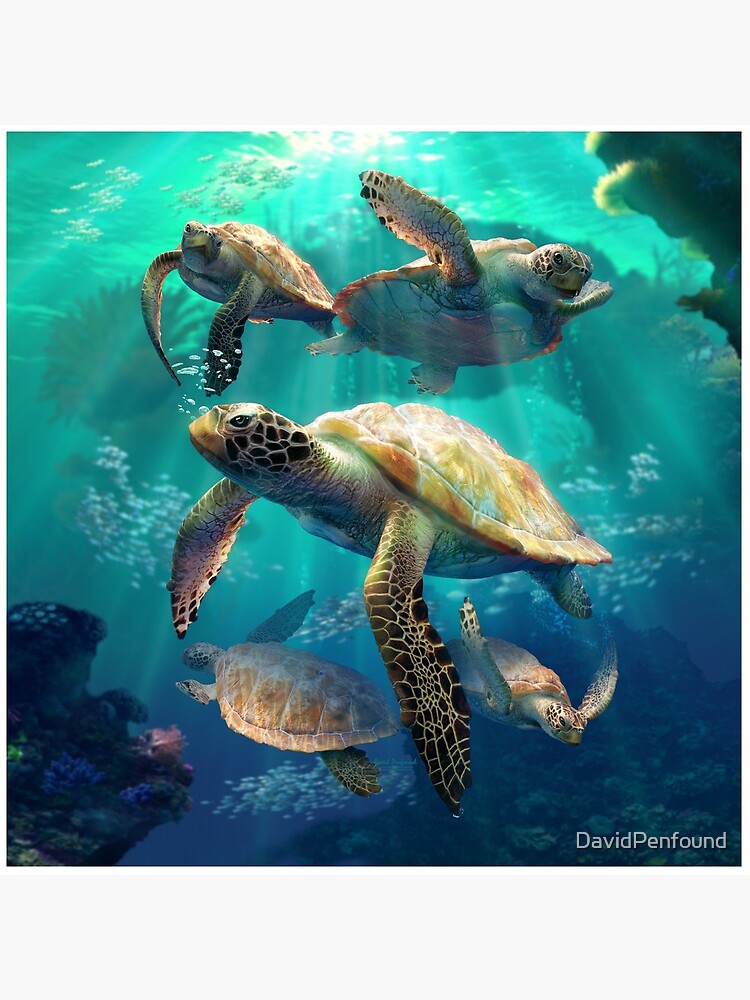 Sea Turtles by DavidPenfound