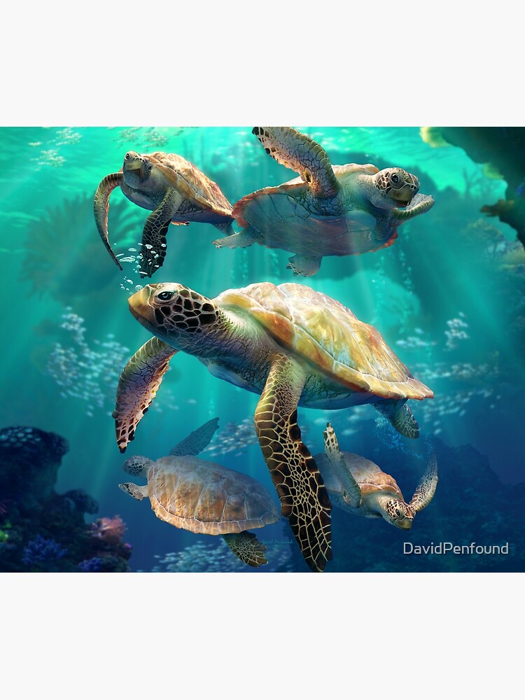 Sea Turtles by DavidPenfound