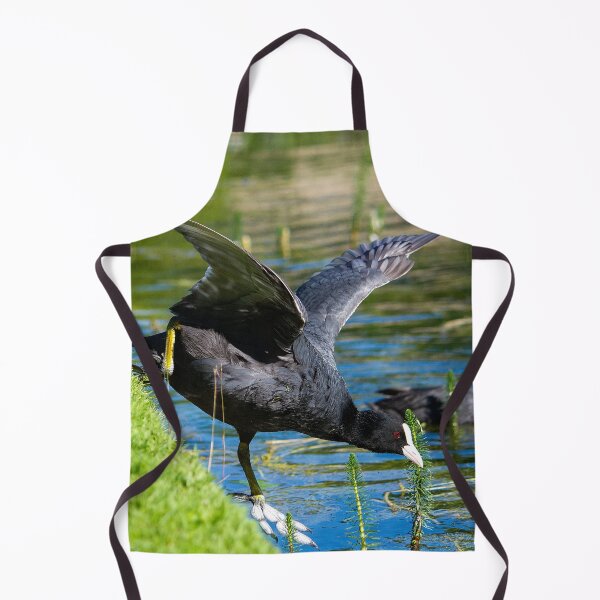 Item preview, Adventurous Coot by heidiannemorris designed and sold by FOLK ART FUSION by heidiannemorris.