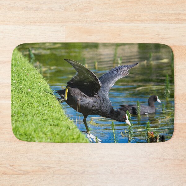 Item preview, Adventurous Coot by heidiannemorris designed and sold by FOLK ART FUSION by heidiannemorris.
