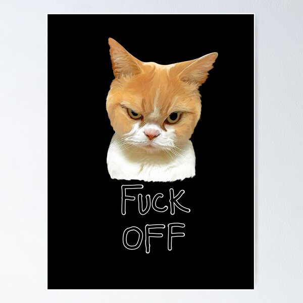 Mad Cat Angry Hissing or Coughing Cat Poster Print Paper OR Wall Vinyl