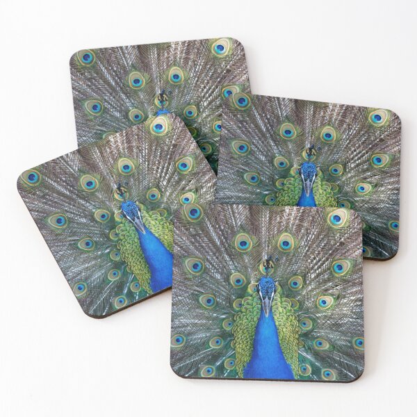 Item preview, Amazing peacock during his exhibition designed and sold by Lefteris Betsis.