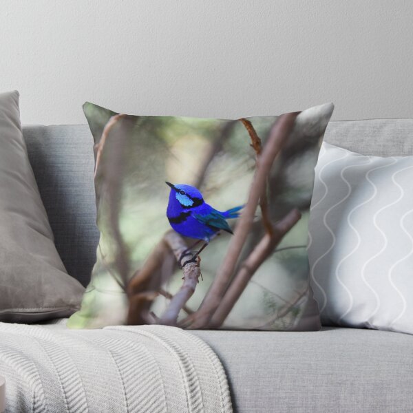 Splendid Blue Fairy Wren Throw Pillow