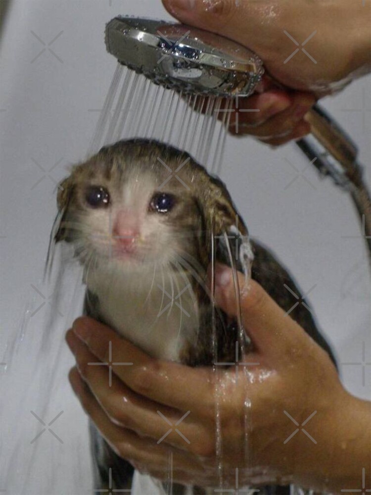 Shower Cat