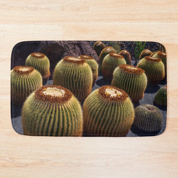 Item preview, Golden Barrel Cactus designed and sold by iCimages.net.
