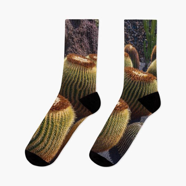 Item preview, Golden Barrel Cactus designed and sold by iCimages.net.