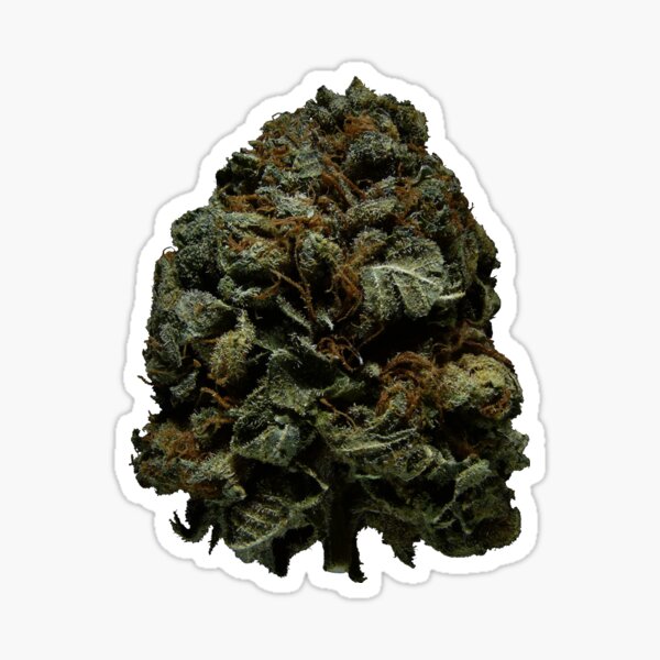 Master Kush (Sticker/Magnet) Sticker
