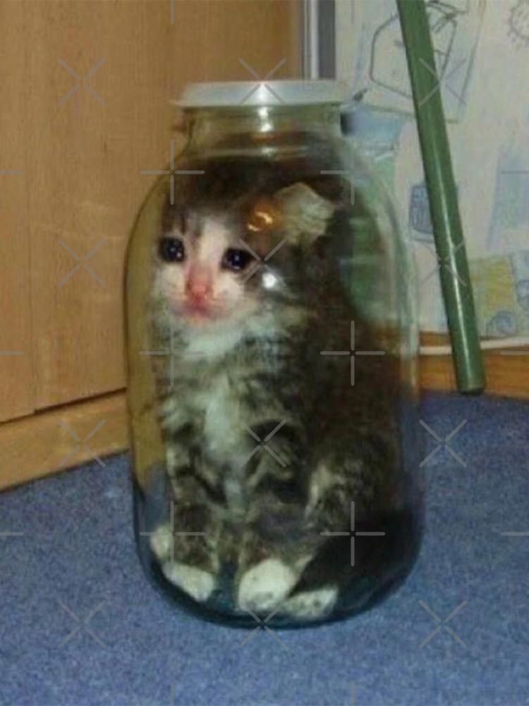 cat in a jar  Magnet for Sale by cheapfan | Redbubble