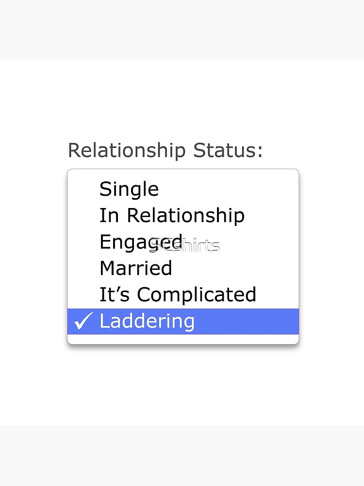 "Relationship status" Throw Pillow for Sale by SCshirts Redbubble