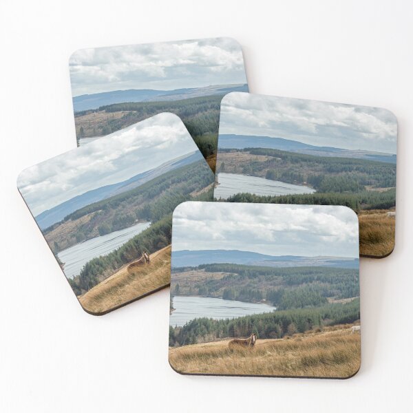 Item preview, Looking down on Cantref Reservoir in the Central Brecon Beacons. Being looked at back by a horse!  designed and sold by Cameranick.
