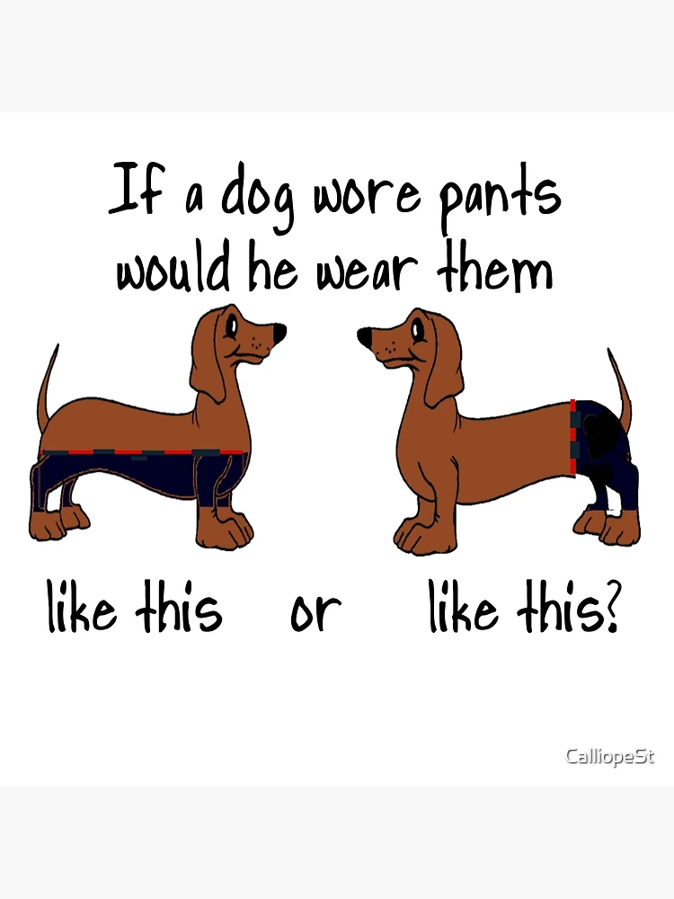 IF A DOG WORE PANTS. Poster for Sale by CalliopeSt Redbubble