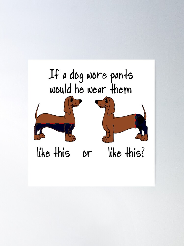 Dachshund Pants - Piebald Dachshund Pants - Piebald