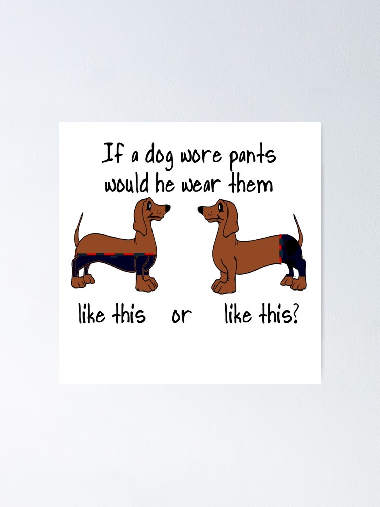Dachshund Pants - Piebald Dachshund Pants - Piebald