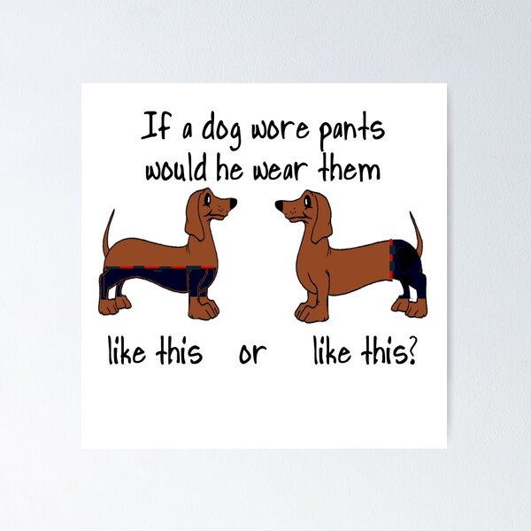 Dachshund Pants - Piebald Dachshund Pants - Piebald