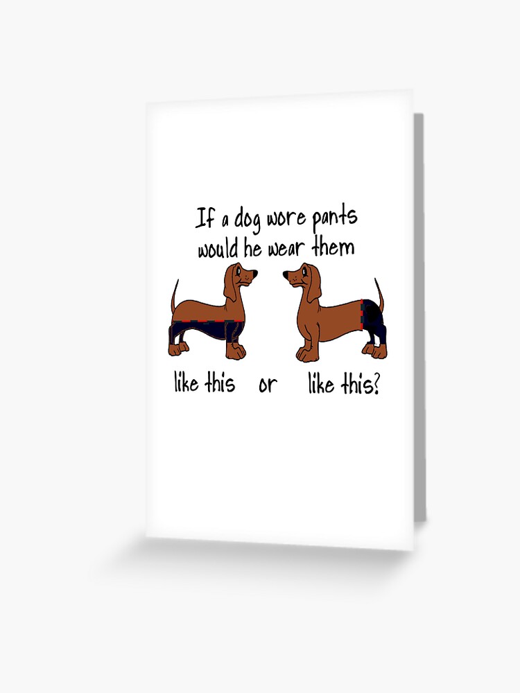 If pants wore pants, If a Dog Wore Pants