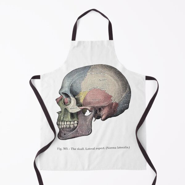 Item preview, Skull | Gray's Anatomy designed and sold by CopeStarr.