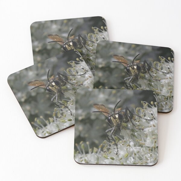 Item preview, Wasp on onion flower designed and sold by BigAndRed.