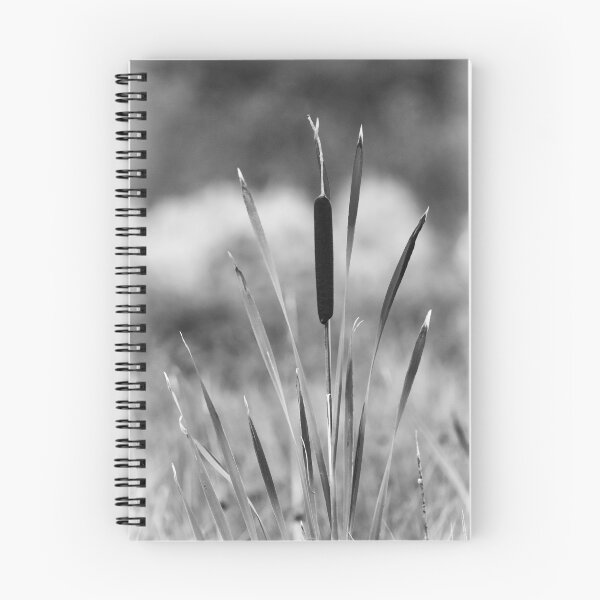 Item preview, Reed Mace - black and white designed and sold by iCimages.net.