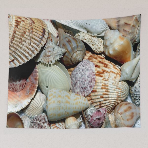 Item preview, mix of seashells designed and sold by nature scenerys.