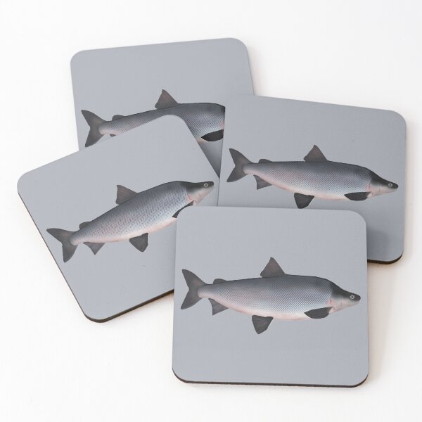 Item preview, Humpback Whitefish designed and sold by fishfolkart.