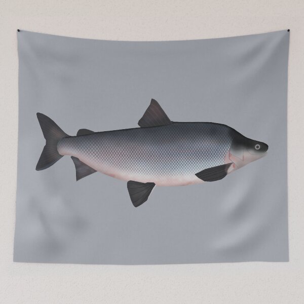 Item preview, Humpback Whitefish designed and sold by fishfolkart.