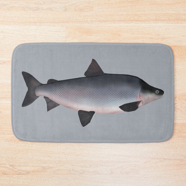 Item preview, Humpback Whitefish designed and sold by fishfolkart.