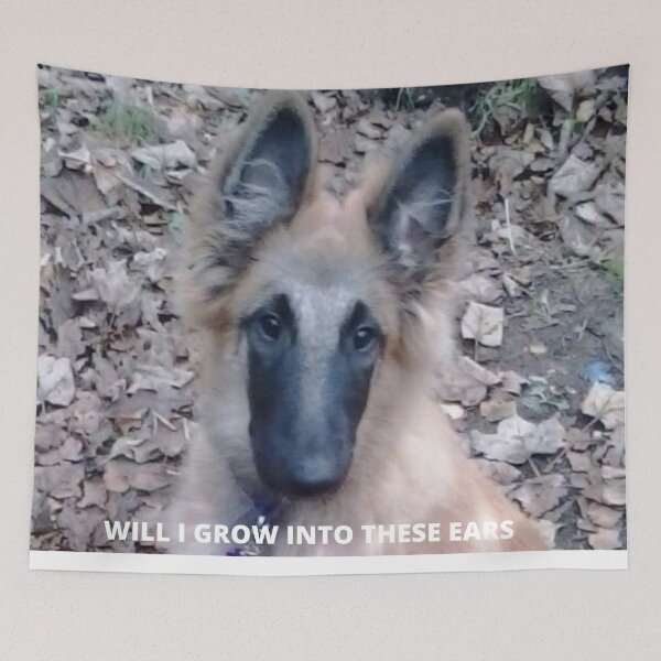Item preview, Belgian Shepherd designed and sold by First-Impress.