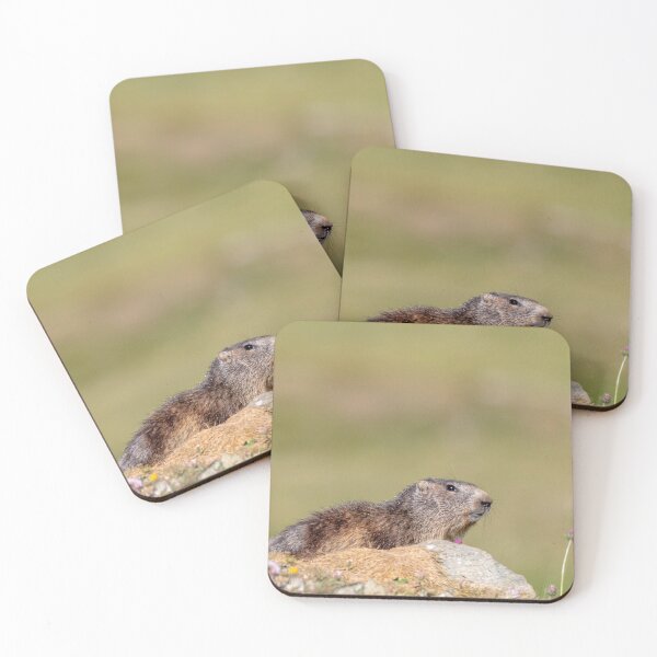 Item preview, Marmot designed and sold by pietrofoto.