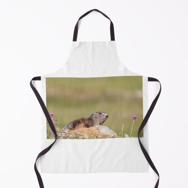 Item preview, Marmot designed and sold by pietrofoto.