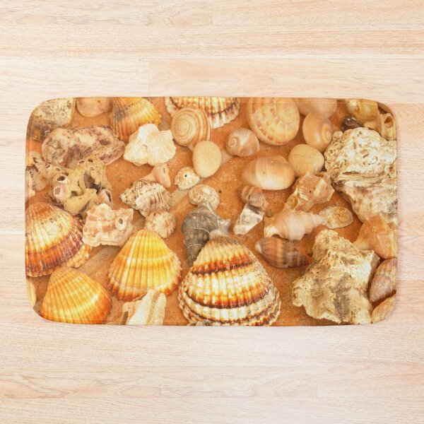 Item preview, seashell collection designed and sold by nature scenerys.