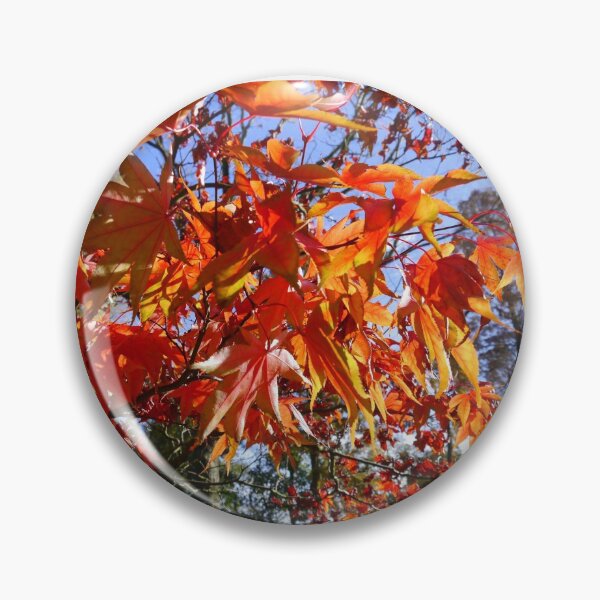 Artikelvorschau, Herbst Acer Foto entworfen und verkauft von TeeandToast.