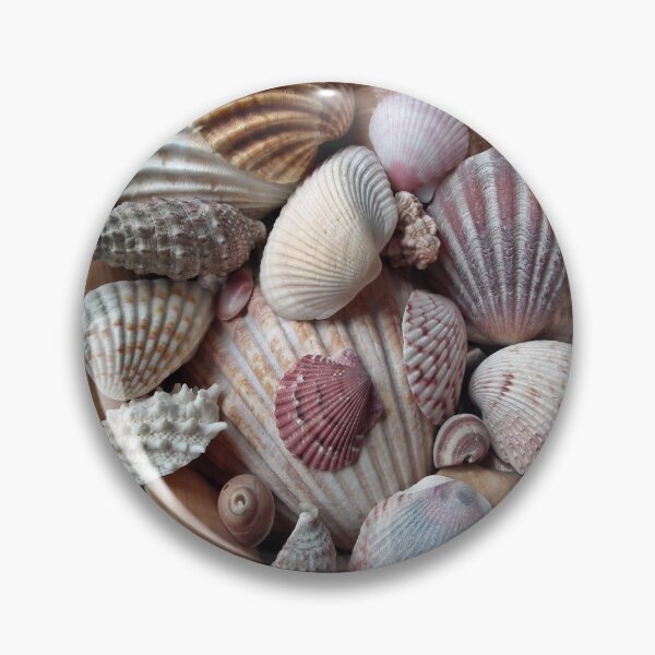 Item preview, seashells of all sizes designed and sold by nature scenerys.