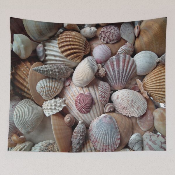 Item preview, seashells of all sizes designed and sold by nature scenerys.