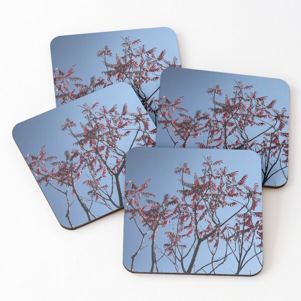 Item preview, Beautiful Trees Photo designed and sold by sabinako.